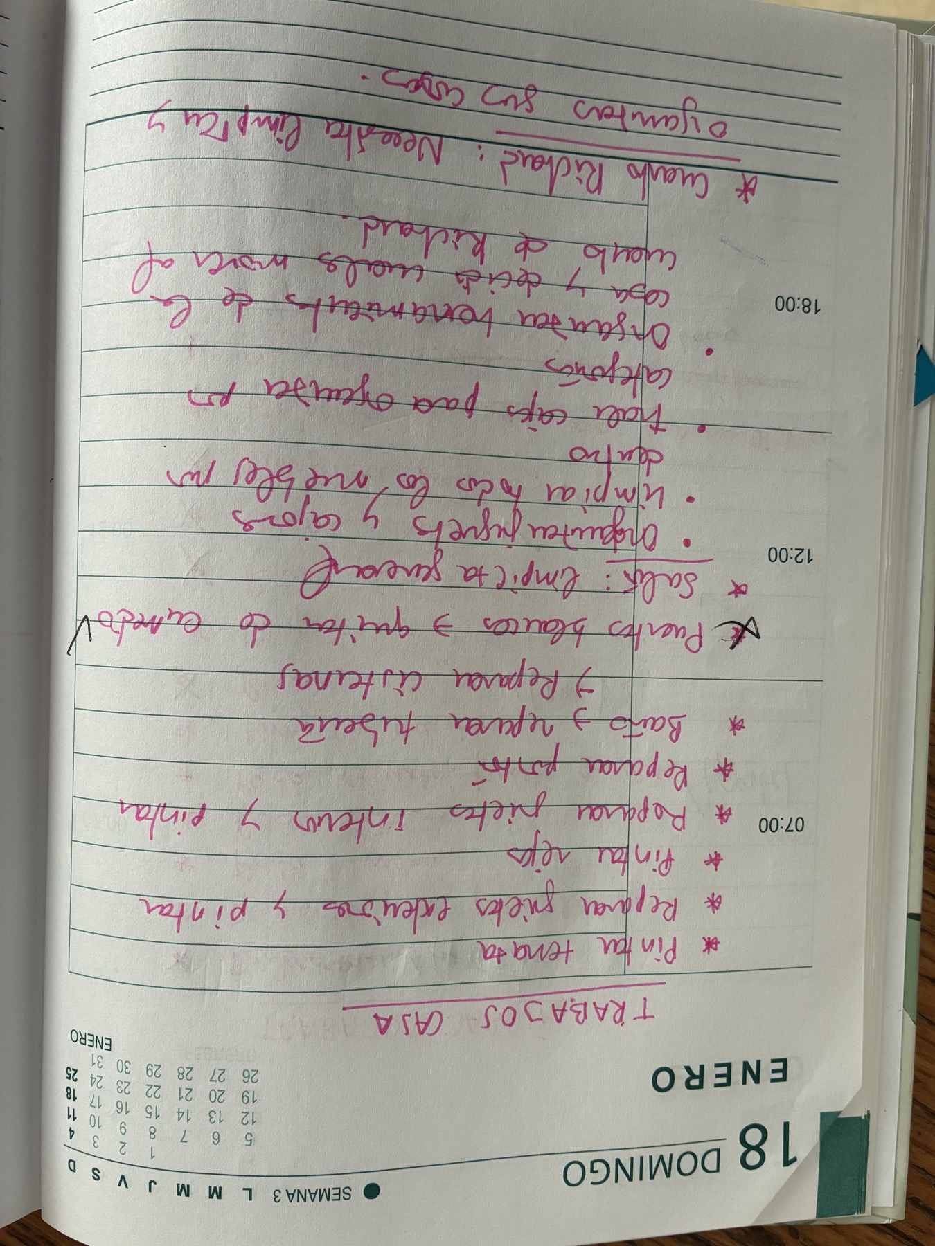 Spanish handwritten diary — house renovation task list